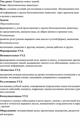 Беспозвоночные животные  3 класс