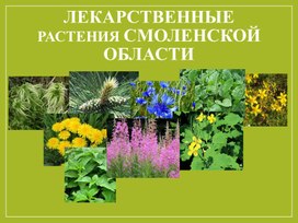Обложка для материала Презентация Растения смоленской области