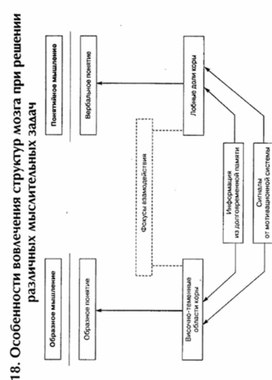 Обложка для материала материал по психофизиологии