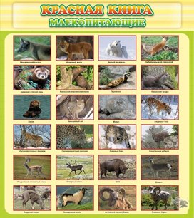 Обложка для материала красная книга