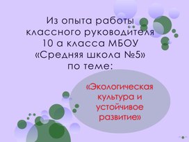 Презентация "Из опыта работы классного руководителя"