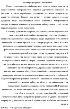 Обложка для материала Аудит розрахунків з бюджетом