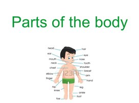 Презентация к уроку английского языка "Parts of the body"