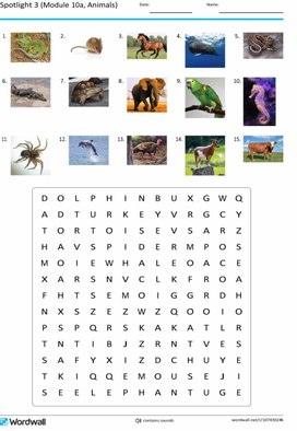 Обложка для материала Spotlight 3 (Module 10a, Animals)
