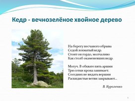 Обложка для материала Презентация "Красота родной природы"