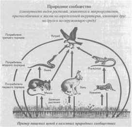 Материал к урокам  биологии