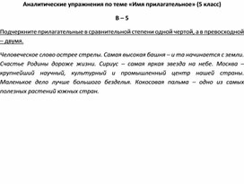 Аналитические упражнения по теме «Имя прилагательное» (5 класс) В – 5