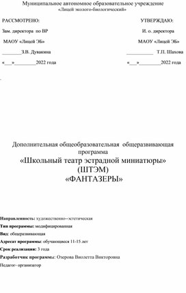 Дополнительная общеобразовательная  общеразвивающая программа «Школьный театр эстрадной миниатюры»