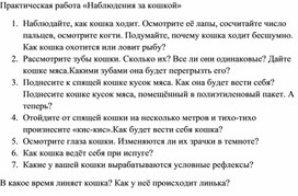 Практическая работа «Наблюдения за кошкой»