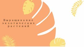 Обложка для материала Экспериментальная деятельность по выращиванию экзотических растений