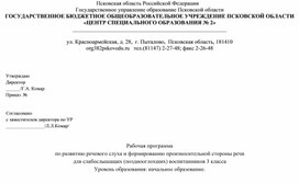 Обложка для материала Рабочая программа по РСВ и ФПСР 3-ий класс