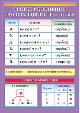 Обложка для материала третье склонение