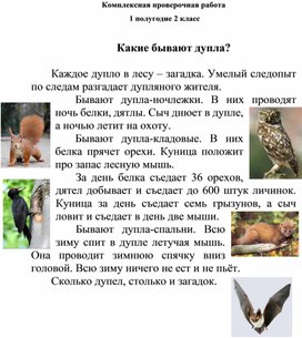 Обложка для материала Комплексная проверочная работа 1 полугодие 2 кл