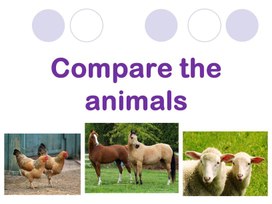 Задание-презентация "Compare the animals"