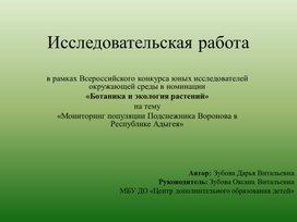 Презентация к исследовательской работе по теме: " «Мониторинг популяции Подснежника Воронова в Республике Адыгея»"