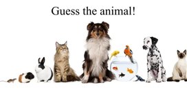 Игра "Guess the animal!"