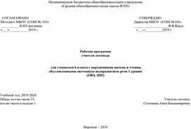 Рабочая программа коррекционно-развивающей работы с учащимся с ЗПР