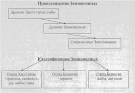 Материал к урокам  биологии