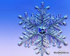 Обложка для материала Набор картинок по лексической теме: "Снежинки"