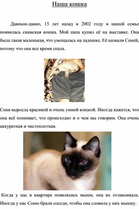 Исследовательский проект на тему: "Кошка Соня"