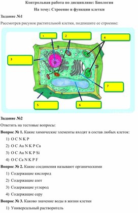 Контрольная работа по Биологии на тему "Строение и функции клетки"
