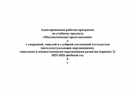 Обложка для материала Адаптивная рабочая программа по математическим представлениям, для обучающихся 5 - 9 классов с умеренной, тяжелой и глубокой умственной отсталостью интеллектуальными нарушениями развития (вариант 2)