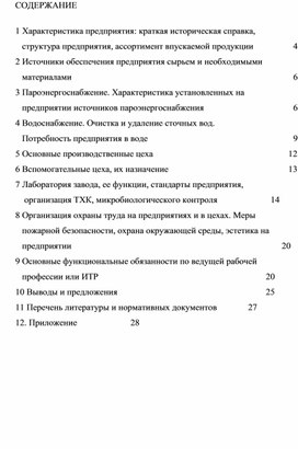 Обложка для материала Отчет о производственной практике