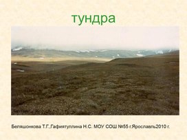 Презентация по окружающему миру "Природные зоны России. Тундра" (2,3 класс)