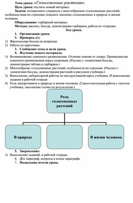 Конспект голосеменные растения