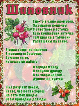 Обложка для материала шиповник