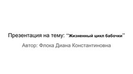 Презентация на тему: “Жизненный цикл бабочки”