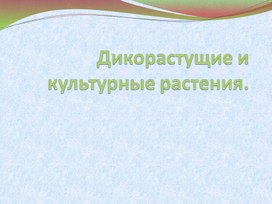 Презентация по окружающему миру "Дикорастущие и культурные растения".