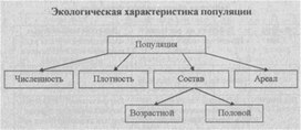 Материал к урокам  биологии