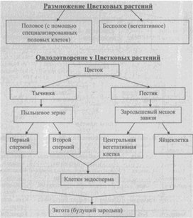 Материал к урокам  биологии