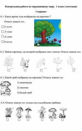Обложка для материала Итоговая контрольная работа по окружающему миру 1 класс