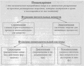 Материал к урокам  биологии