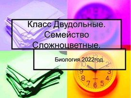 Презентация по биологии. Класс Двудольные. Семейство Сложноцветные.