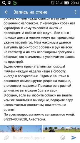 А рамках проекта "Дай лапу, друг!" (Содружество 6)