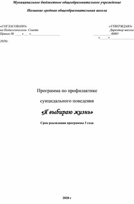 Программа по профилактике  суицидального поведения «Я выбираю жизнь»