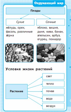 Заполни схему земледелие окружающий мир 3 класс виноградова