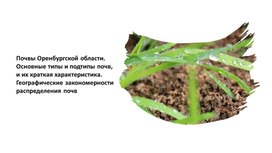 Обложка для материала Презентация_Почвы Оренбургской области