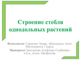 Сравнительная анатомия однолетних растении