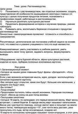 Урок окружающего мира по теме: "Растениеводство"