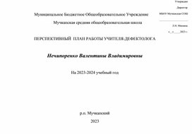 Годовой план учителя-дефектолога