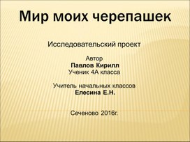 Проект