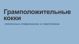 Обложка для материала Грамположительные кокки: патогенные стафилококки и стрептококки