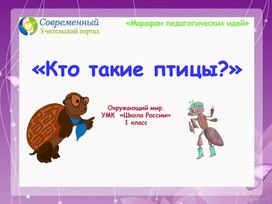 Презентация Кто такие птицы.