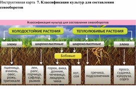 Методическая разработка "Классификация культур для составления севооборотов"