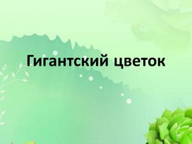 Гигантский цветок