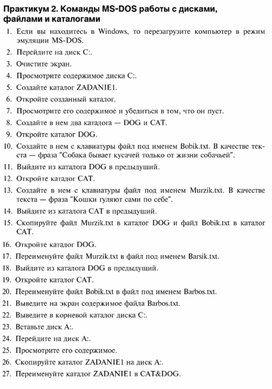 Обложка для материала Практикум 2. Команды MS - DOS работы с дисками, файлами и каталогами
